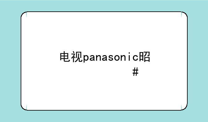电视panasonic是什么牌子啊？