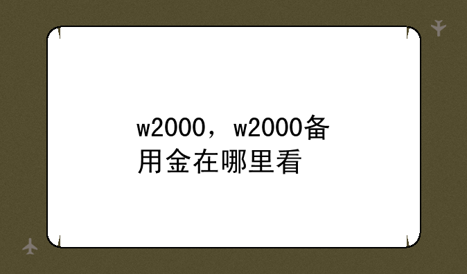 w2000，w2000备用金在哪里看