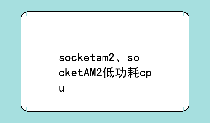 socketam2、socketAM2低功耗cpu