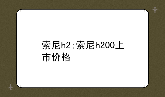 索尼h2;索尼h200上市价格