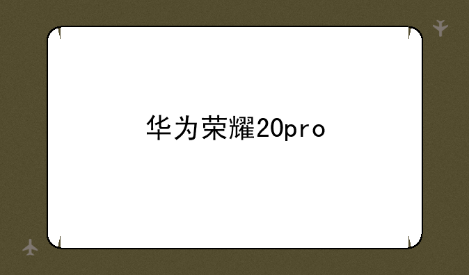 华为荣耀20pro