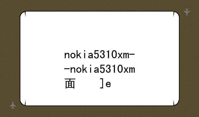 nokia5310xm--nokia5310xm面板